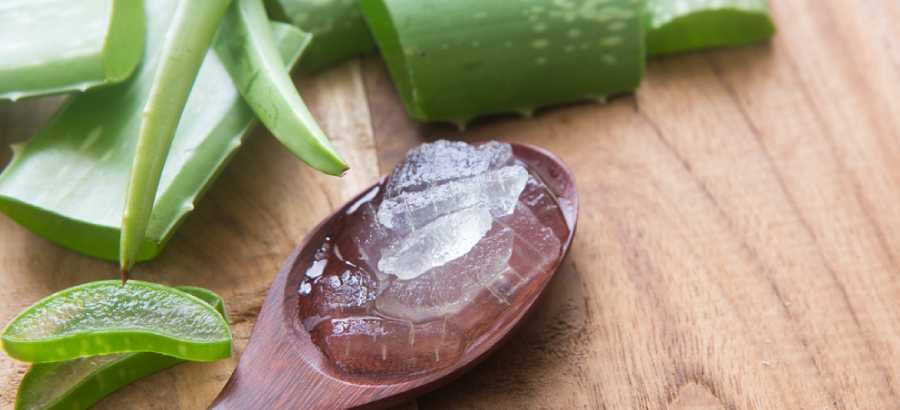 Health Benefits of Aloe Vera to Treat Age Spots